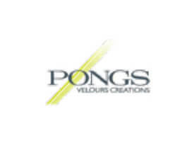 erp-und-pps-consulting-referenz-pongs