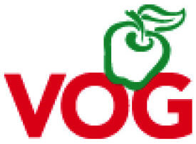 erp-und-pps-consulting-referenz-vog